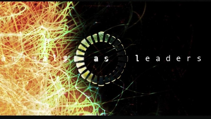 你最真实（很少吐露）的择偶标准是什么？